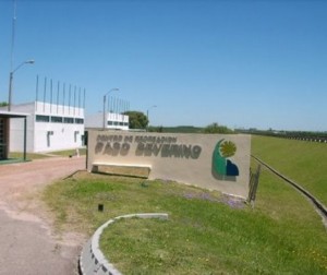 paso severino